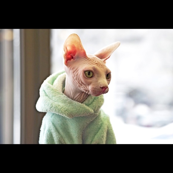 Meet your Posher, Ken - Picture 1 of 1